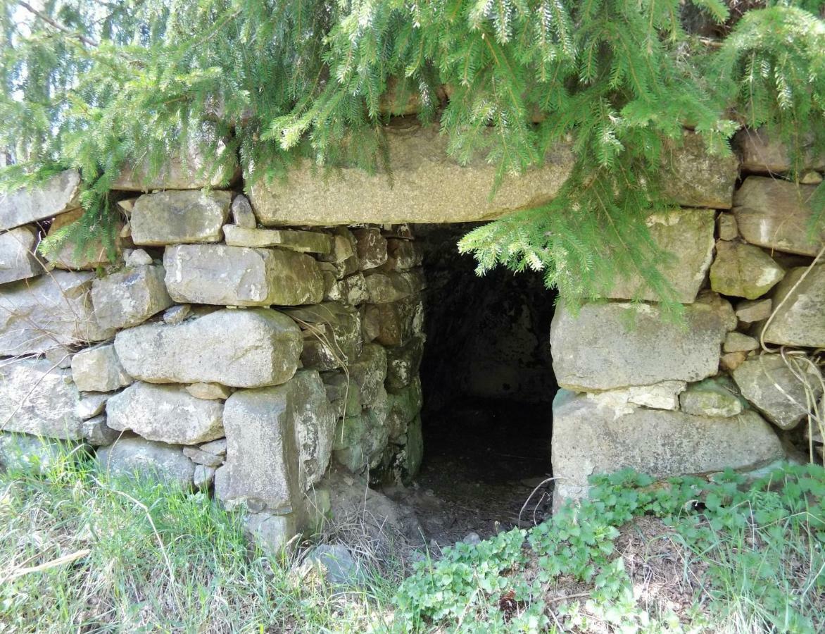 מלון Norrhult Alebro Stugby מראה חיצוני תמונה